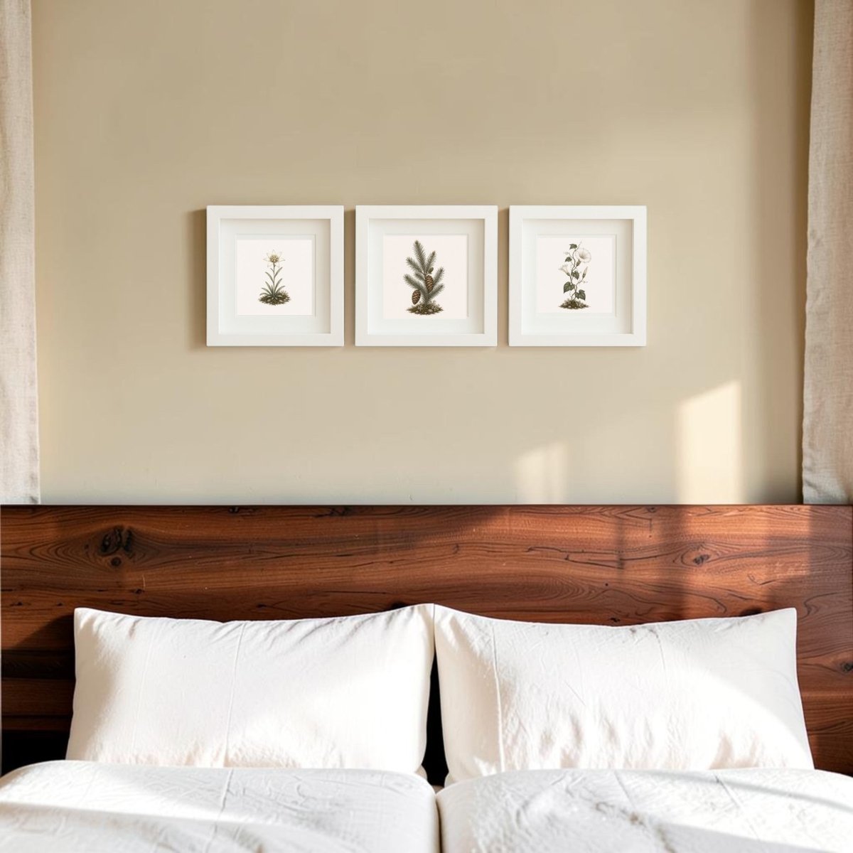 A neatly made bed with white bedding sits below a wooden headboard. Above the bed, three framed prints from the Mirabilia Boutique Winter Meadow Botanical Shadowbox Trio | 5x5 are displayed in a row on a beige wall, reflecting the tranquil charm of winter botanicals. Light curtains frame the scene.