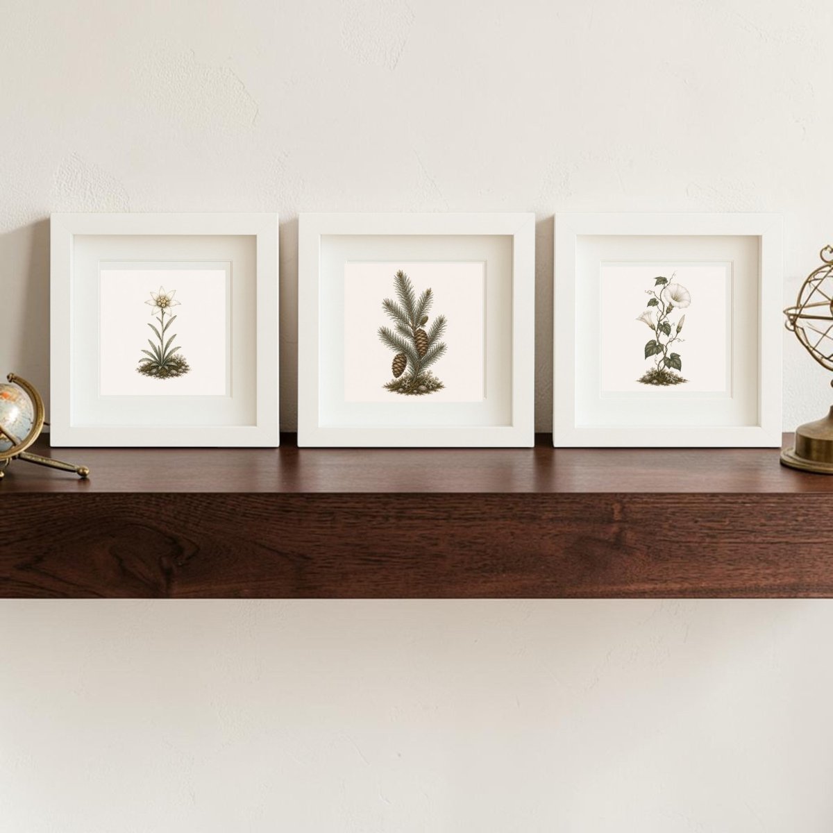 The Winter Meadow Botanical Shadowbox Trio | 5x5 by Mirabilia Boutique, featuring three framed illustrations—a flower, a pine branch with a cone, and another winter-inspired bloom—rests elegantly on a dark wooden shelf against a light-colored wall, capturing the refined charm of botanical shadowboxes.