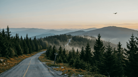 The Places That Make Us Pause: Why Awe Still Matters