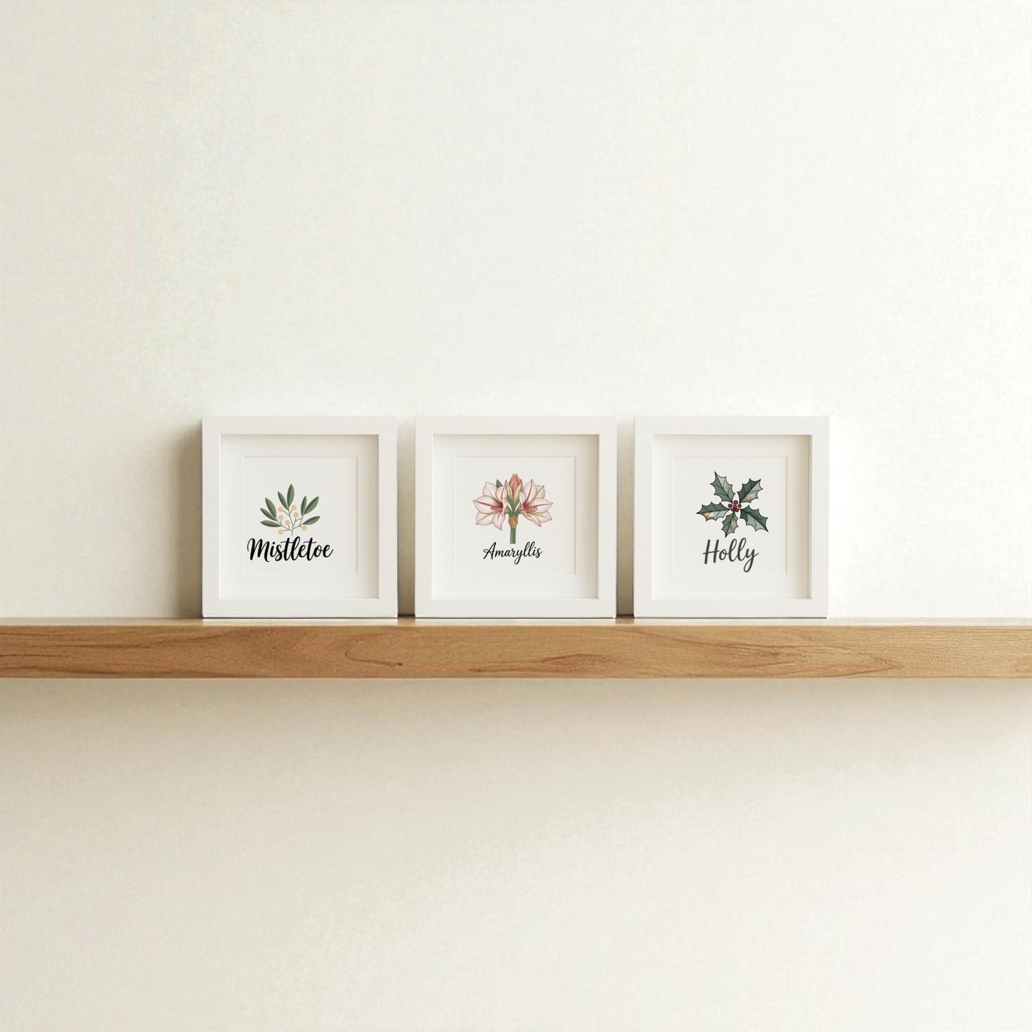 The Mirabilia Boutique Mistletoe Amaryllis Holly Prints | Holiday Shadowbox Trio features three hand-illustrated holiday prints on a simple shelf, adding botanical charm to any white wall.