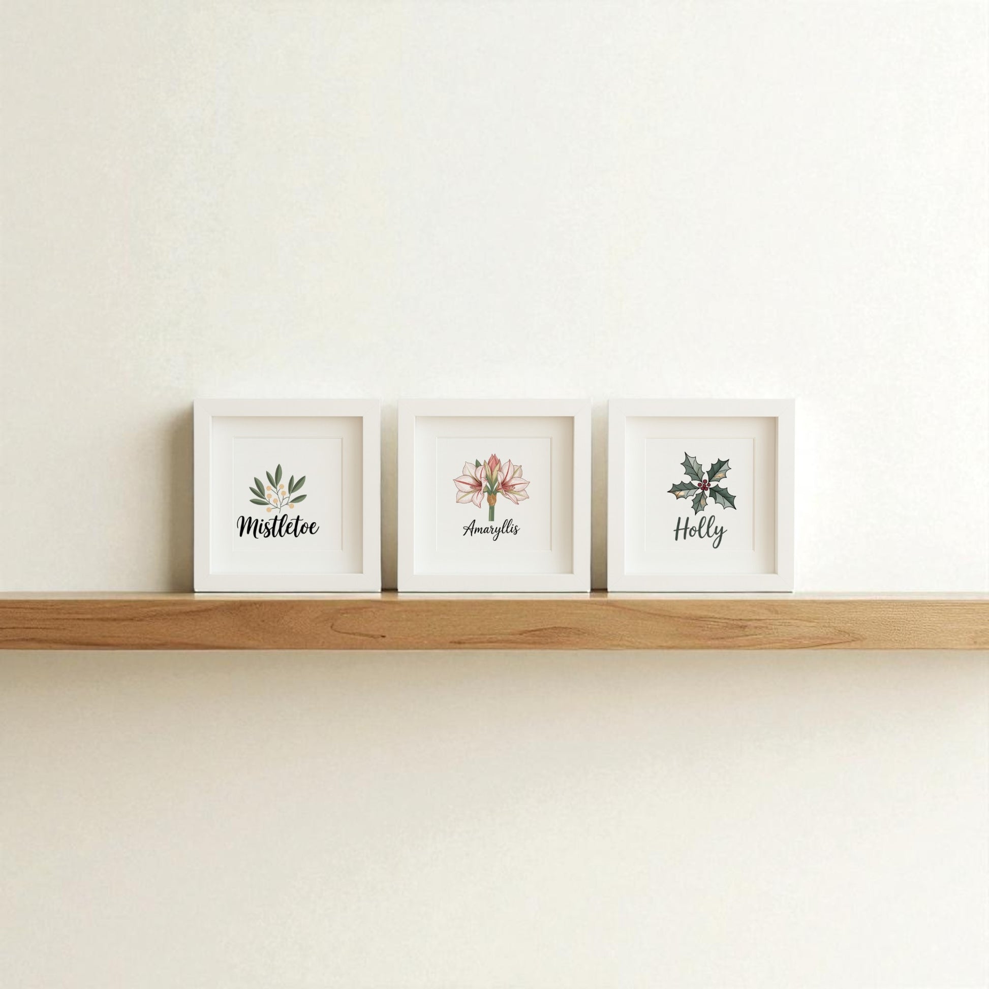 The Mirabilia Boutique Mistletoe Amaryllis Holly Prints | Holiday Shadowbox Trio features three hand-illustrated holiday prints on a simple shelf, adding botanical charm to any white wall.