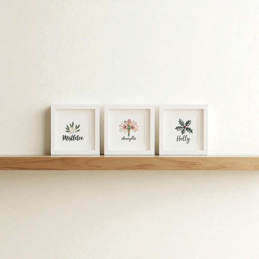 The Mirabilia Boutique Mistletoe Amaryllis Holly Prints | Holiday Shadowbox Trio features three hand-illustrated holiday prints on a simple shelf, adding botanical charm to any white wall.
