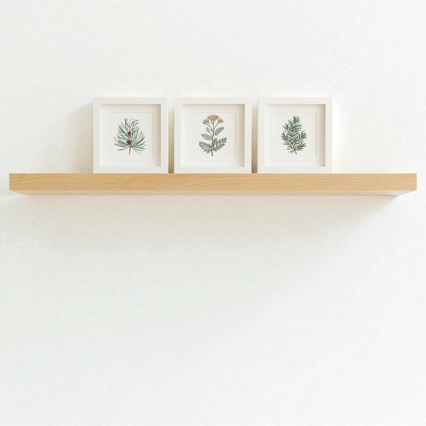 A light wooden shelf on a white wall displays Mirabilia Boutique’s Winter Botanical Trio—three framed prints featuring pine, yarrow, and rosemary, each with green leaves in simple white frames.